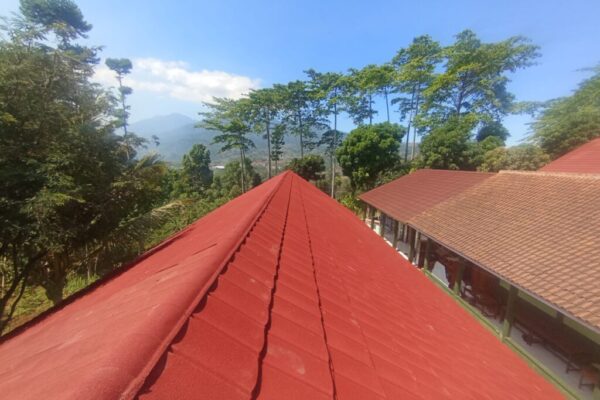Galeri Nursa Baja Ringan 11 Galeri Nursa Baja Ringan 11