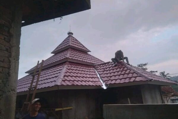 Galeri Nursa Baja Ringan 9 Galeri Nursa Baja Ringan 9